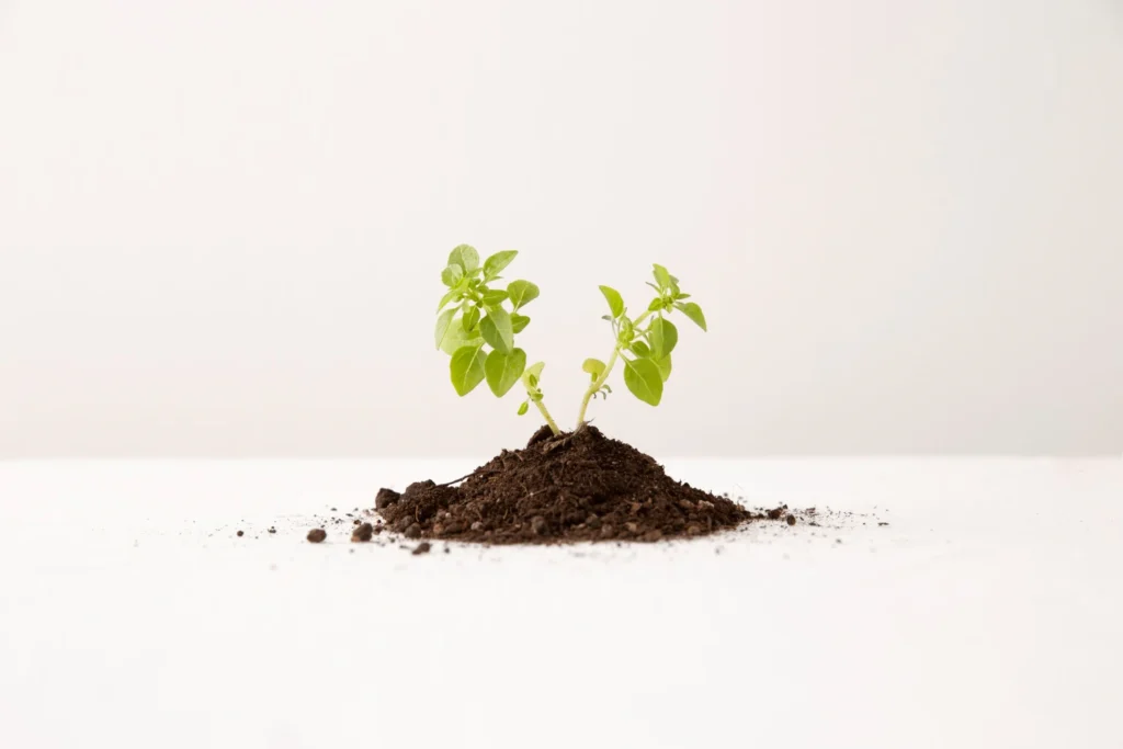 Team marketing durante un brainstorming creativo - Nestweb Agency