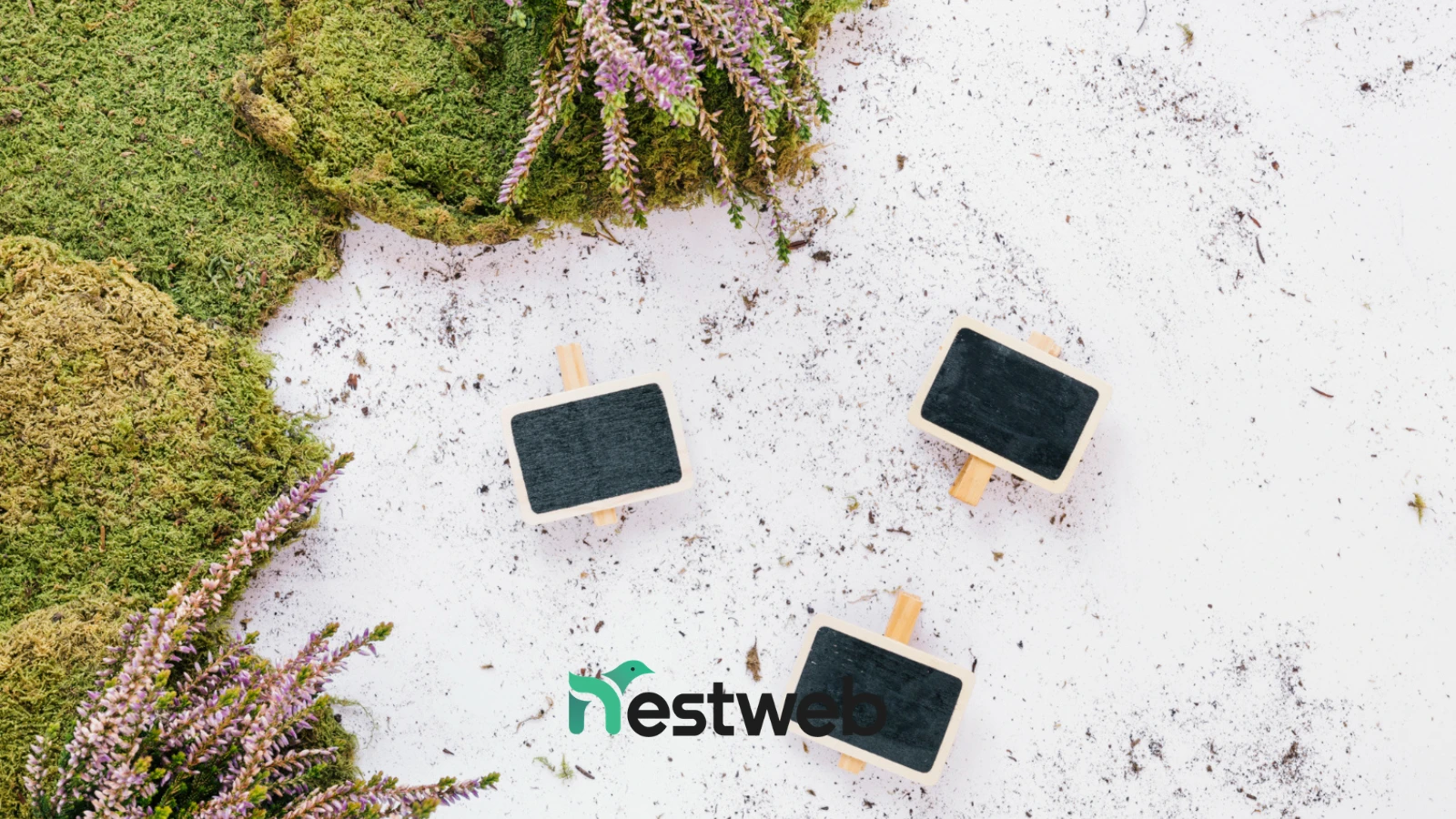 Bando Digitalizzazione 4.0 Lombardia 2026: Guida al 70% a Fondo Perduto - Nestweb Agency