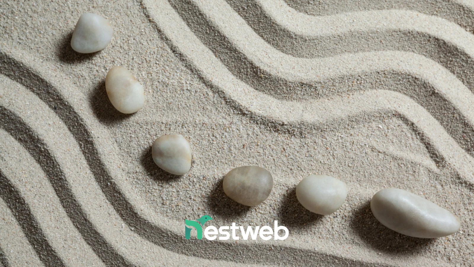 Cosa scrivere nel sito di una ditta meccanica? Guida a schede tecniche e case study che generano fiducia - Web Agency Reggio Emilia 19
