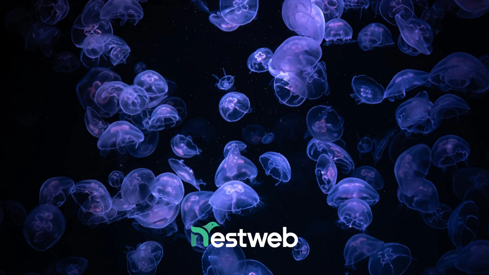 AI per le vendite: assistenti virtuali e Sales Copilot per automatizzare il follow-up B2B - Web Agency Reggio EMilia