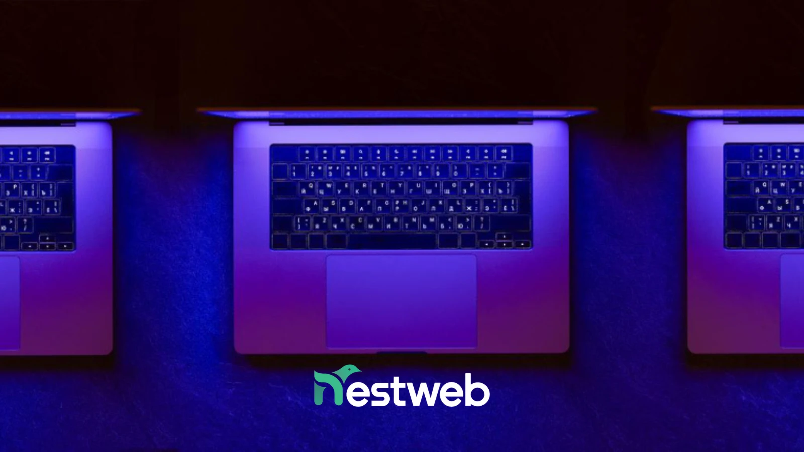 Nuova Sabatini: Il Pilastro dei Finanziamenti per Software e Tecnologie Digitali - Nestweb Agency